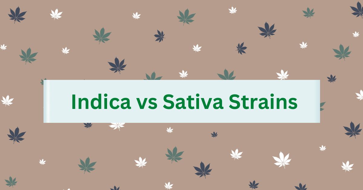 Indica vs Sativa Strains.png